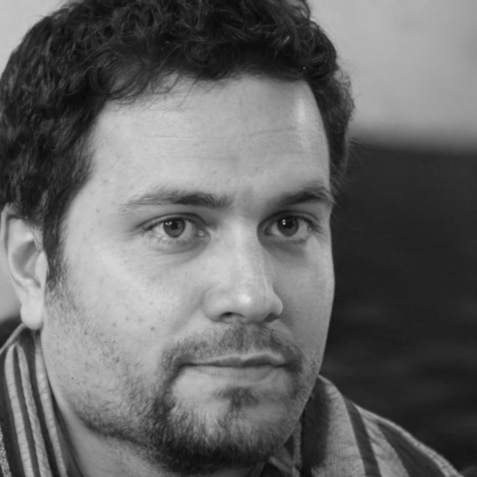 Wim Laermans